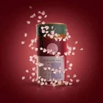 ماسک هیدروژلی گلبرگ رز هایلایف